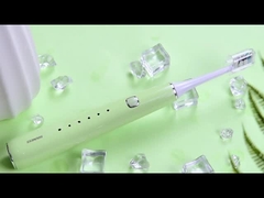 BS61 প্রাপ্তবয়স্কদের জন্য বৈদ্যুতিক দাঁত ব্রাশ