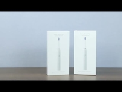 SN302 প্রাপ্তবয়স্কদের জন্য সোনিক ইলেকট্রিক টুথব্রাশ