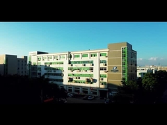 বাওলিজি কোম্পানি