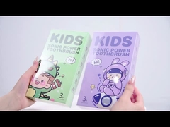 BS51 বৈদ্যুতিক দাঁত ব্রাশ