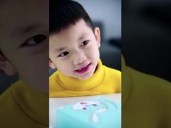 SN201 সনিক ইলেকট্রিক টুথব্রাশ